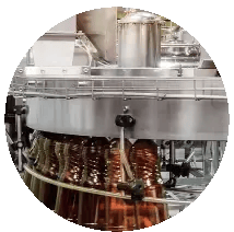 Food Processing Plant Cleaners